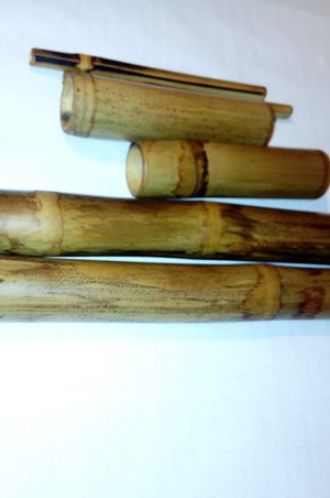 Ilaria Fiore - Escort Donna Reggio Emilia